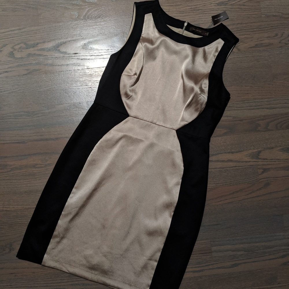 NWT Classy Limited Sheath Dress!